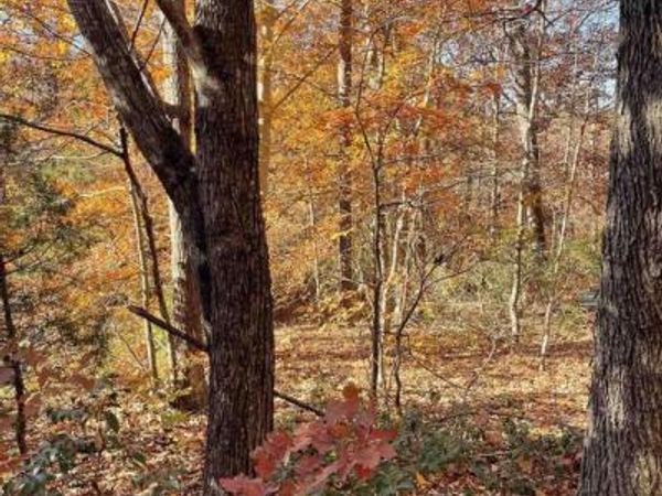 19 CHICKASAW PL, PALMYRA, VA 22963