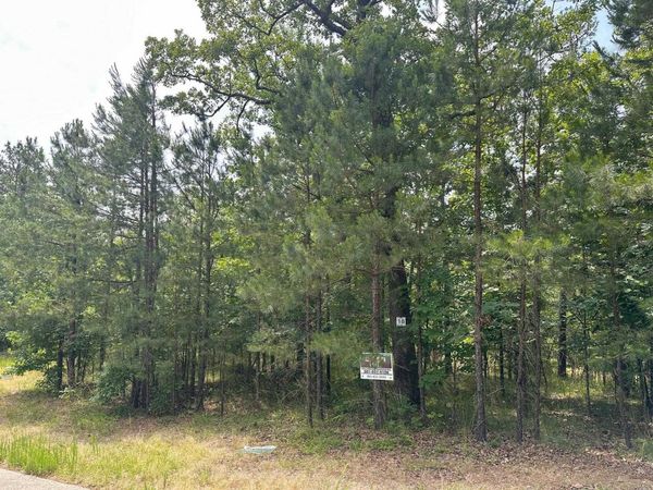 232 DELLMERE Drive, Unit Lot 18 Blk, Hot Springs, AR 71913