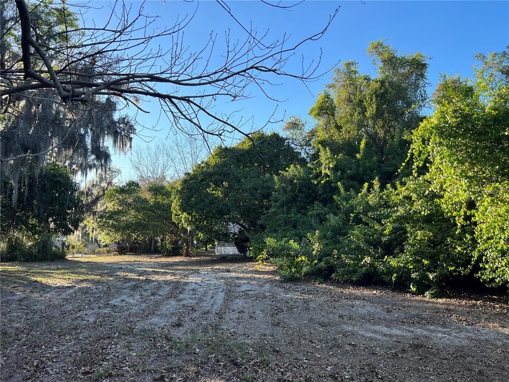 N Mayo Street, Crystal Beach, FL 34681 Photo