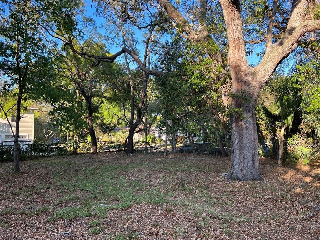 N Mayo Street, Crystal Beach, FL 34681 Photo