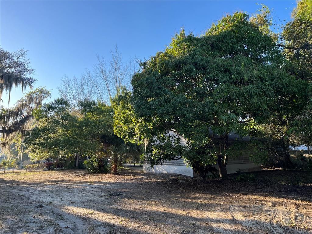 N Mayo Street, Crystal Beach, FL 34681 Photo