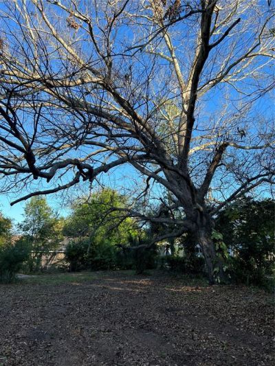 N Mayo Street, Crystal Beach, FL 34681 Photo