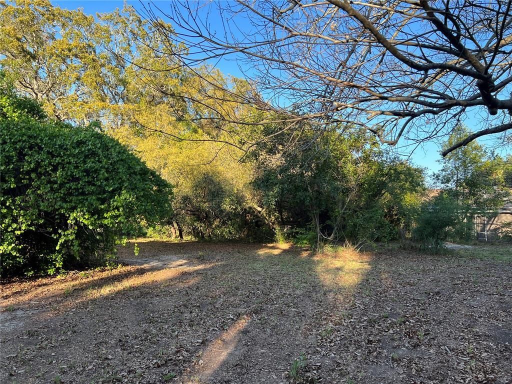 N Mayo Street, Crystal Beach, FL 34681 Photo