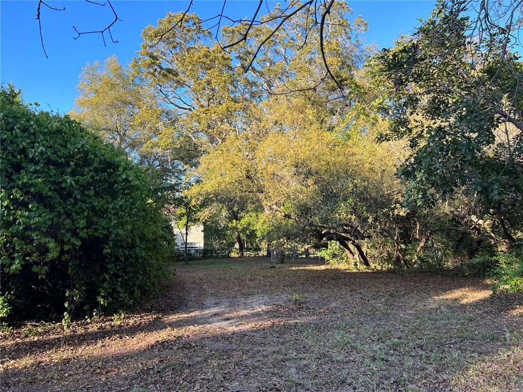 N Mayo Street, Crystal Beach, FL 34681 Photo