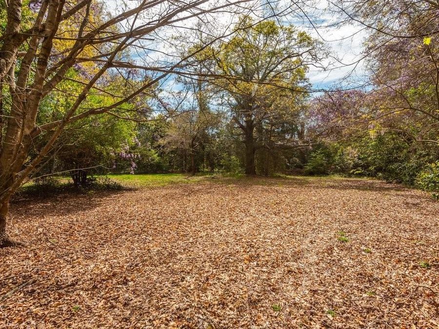 Property Image 54