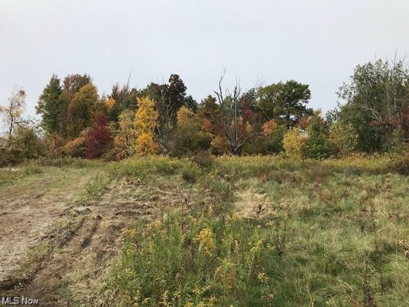 18848 Pearl Road, Strongsville, OH 44136 Photo 4