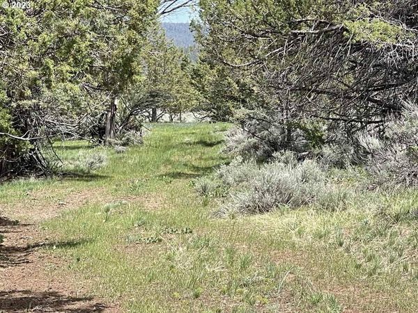 8500 NF 379, Bly, OR 97622