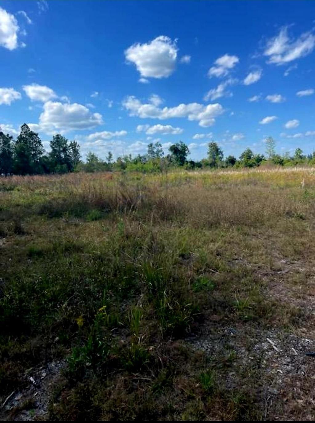 1108306 Oil Well Road, Clermont, FL 34714 Main Photo
