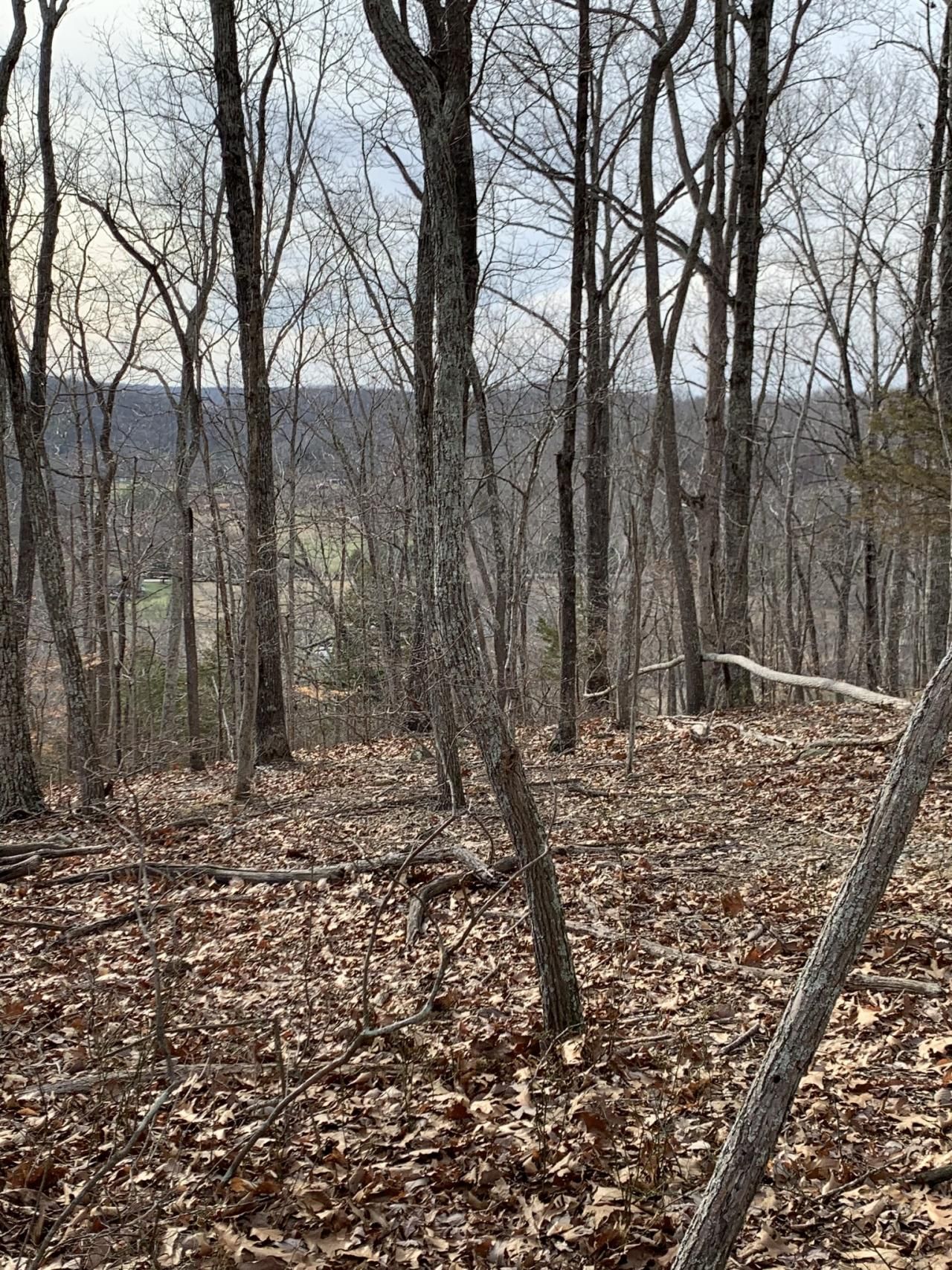 0 Hester Beasley Rd, Nashville, TN 37221 Main Photo