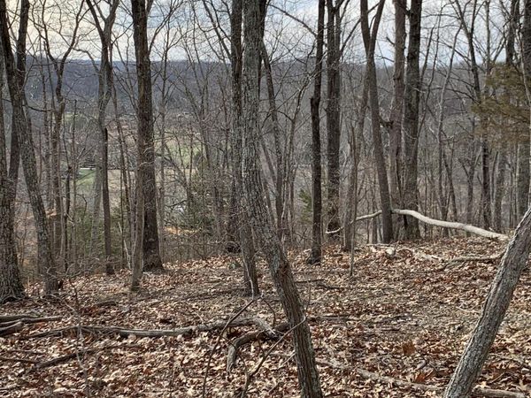 0 Hester Beasley Rd, Nashville, TN 37221