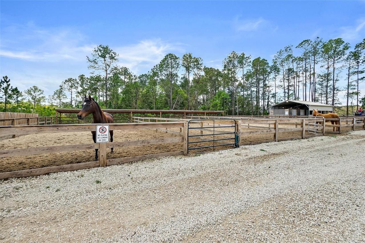 3305 County Road 305, Bunnell, FL 32110 Photo