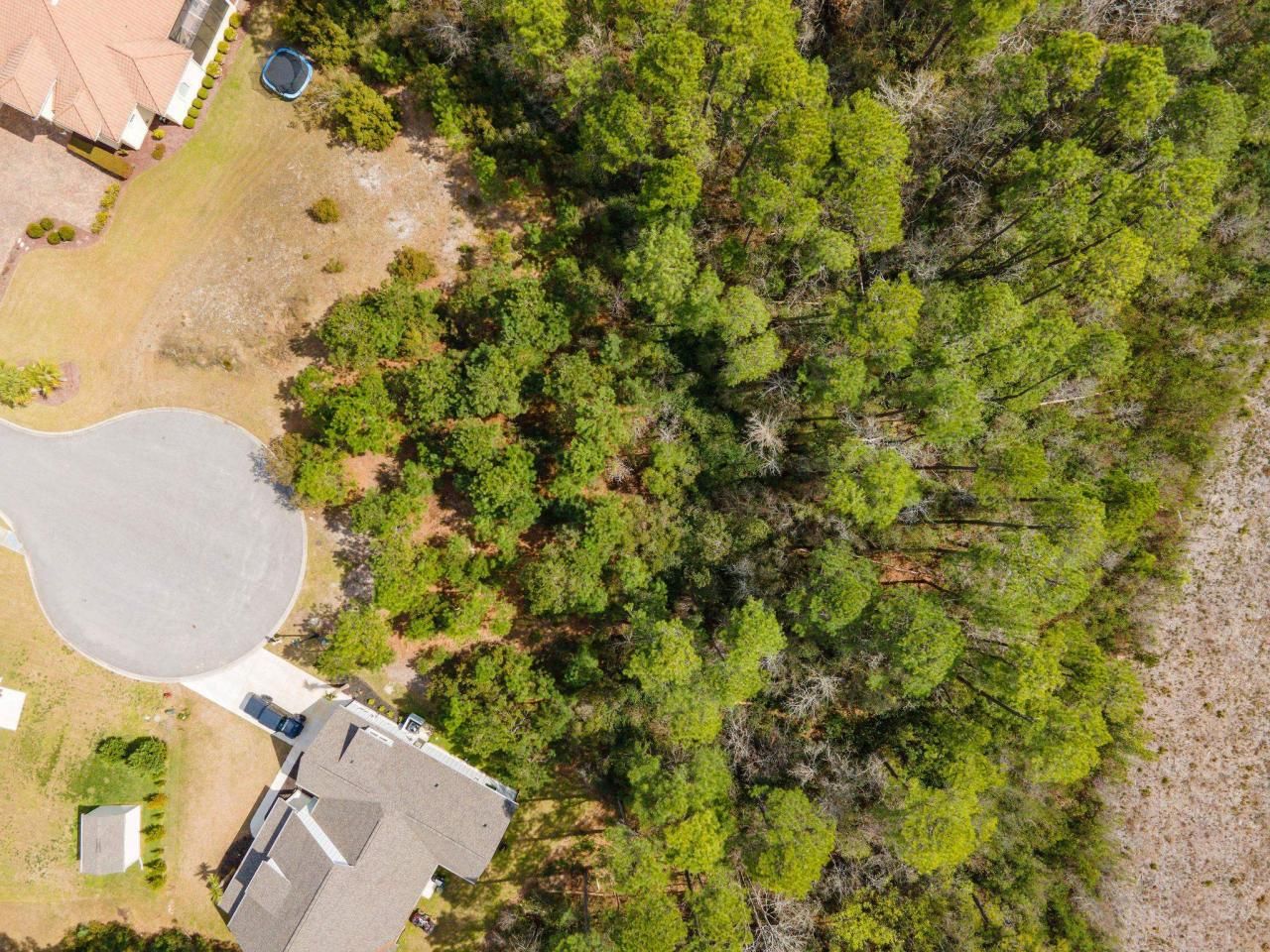 425 Palo Verde Dr. Photo 16