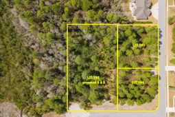 1269 Ficus Dr. photo 4