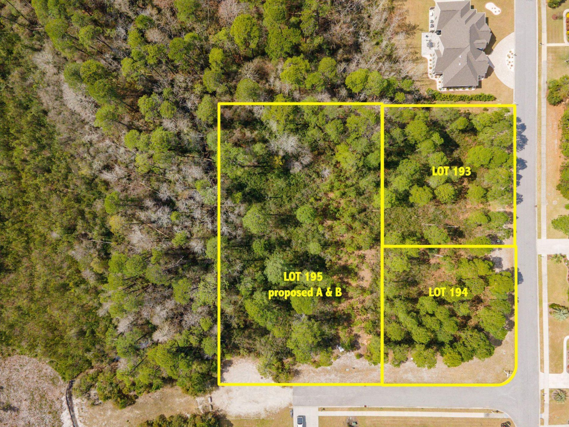 1269 Ficus Dr. Photo 5