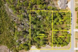 1269 Ficus Dr. photo 4