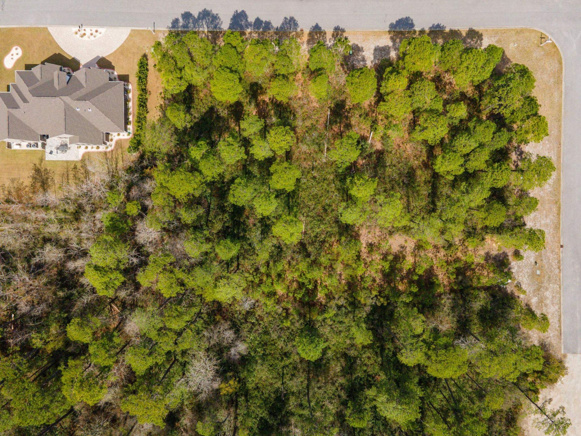 1269 Ficus Dr. Photo 6