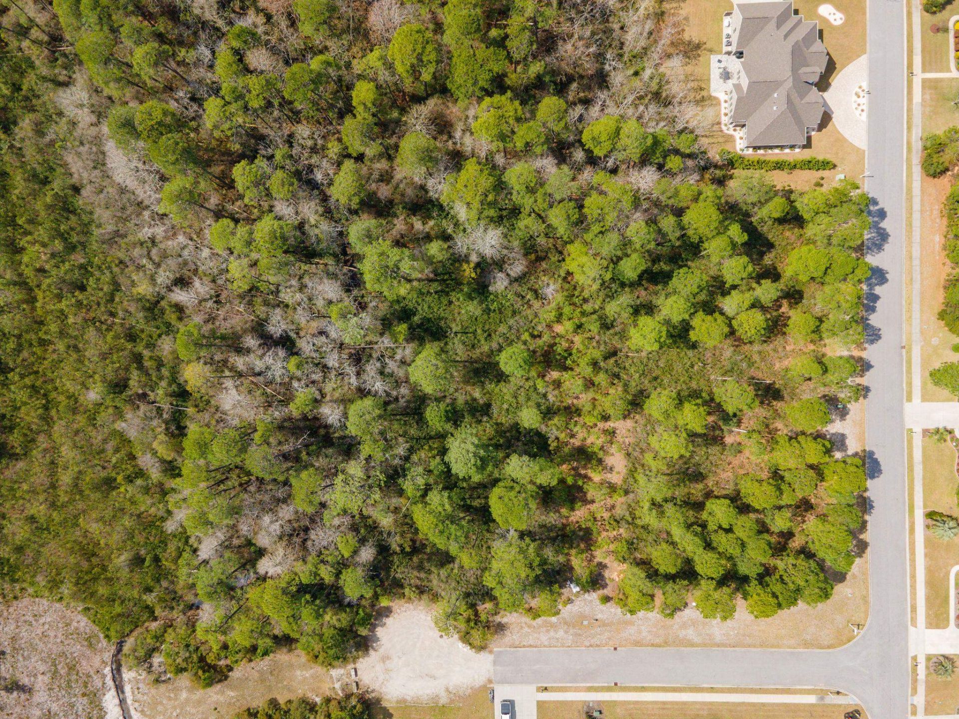 1269 Ficus Dr. Photo 7