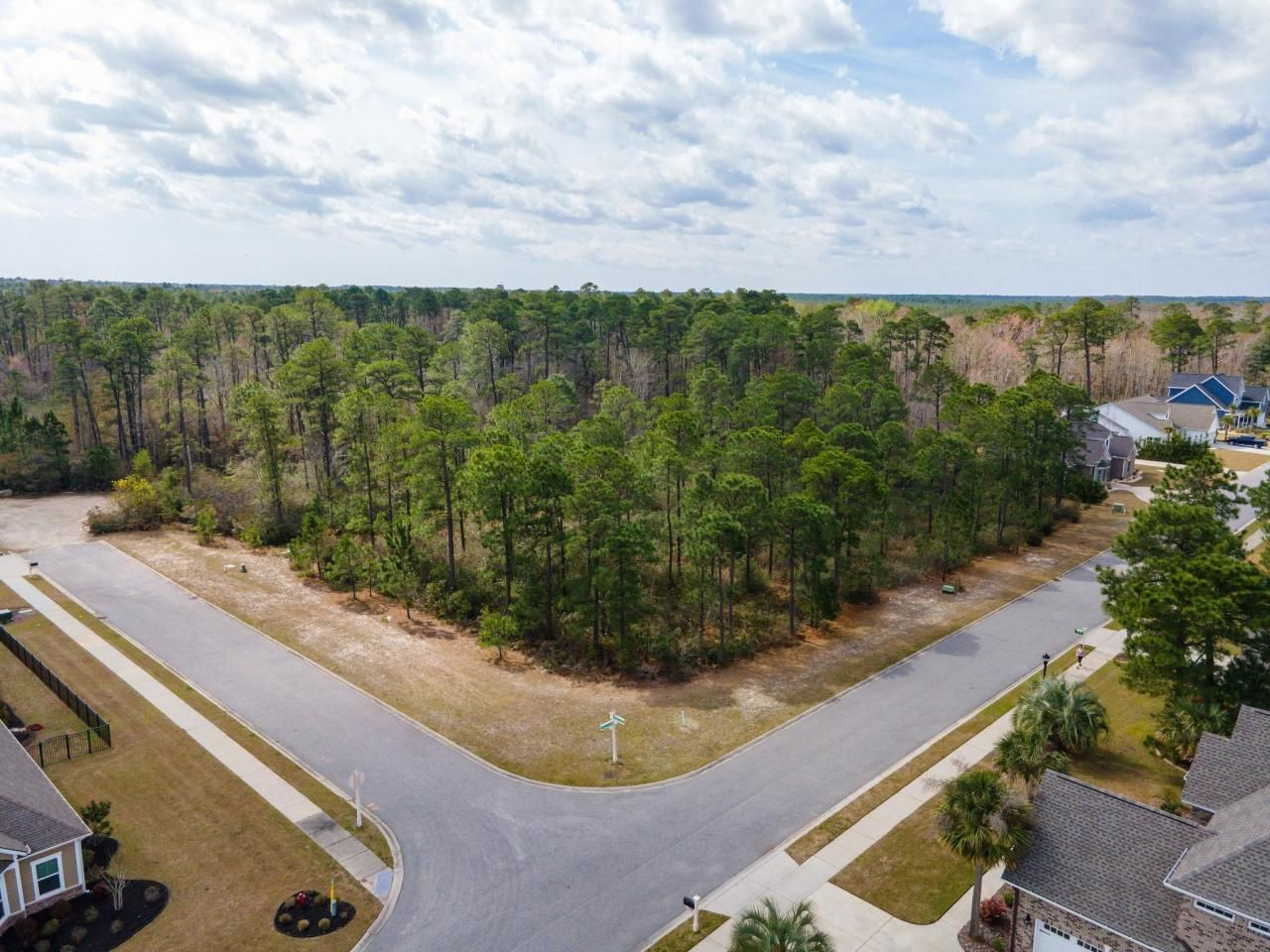 1259 Ficus Dr. Photo 10