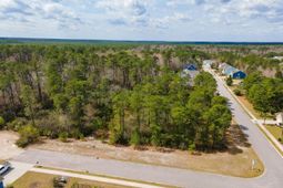 1259 Ficus Dr. photo 4