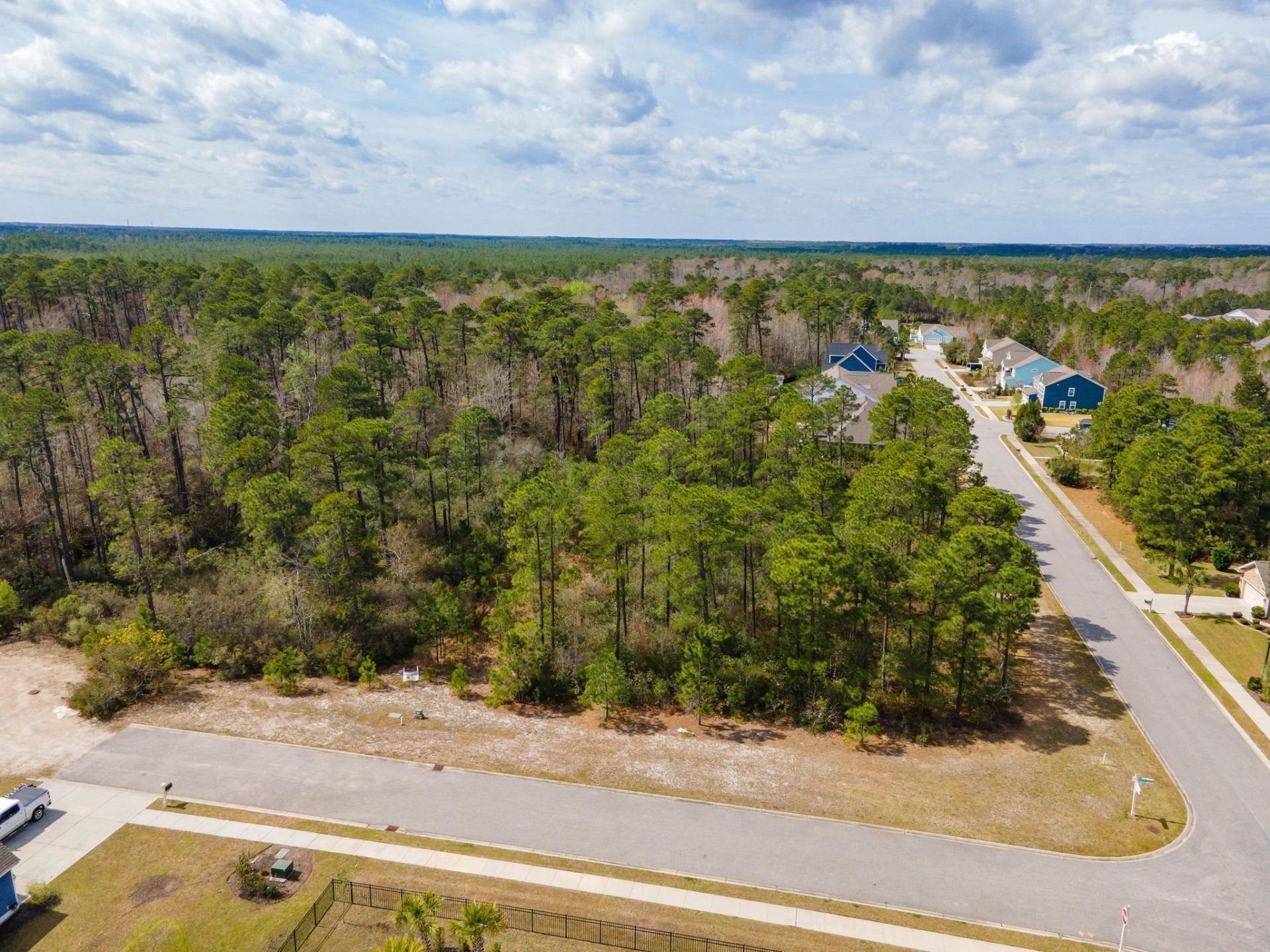 1259 Ficus Dr. Photo 5