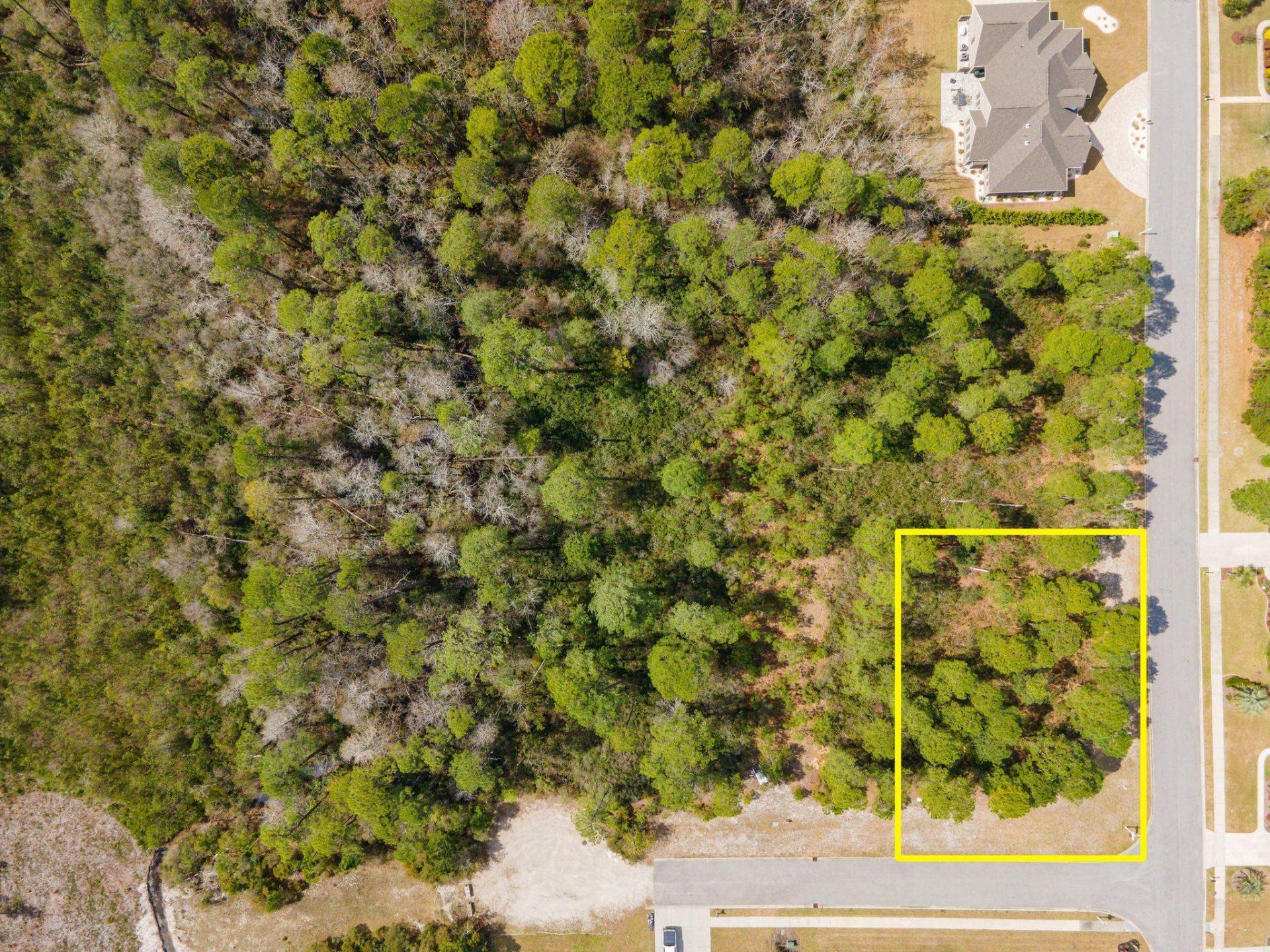 1259 Ficus Dr. Photo 7