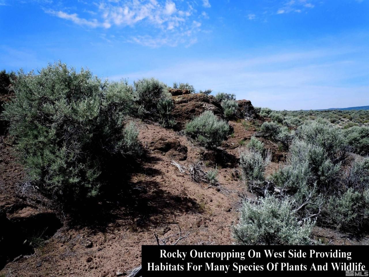 0 Unspecified, Gerlach, NV 89412 Photo