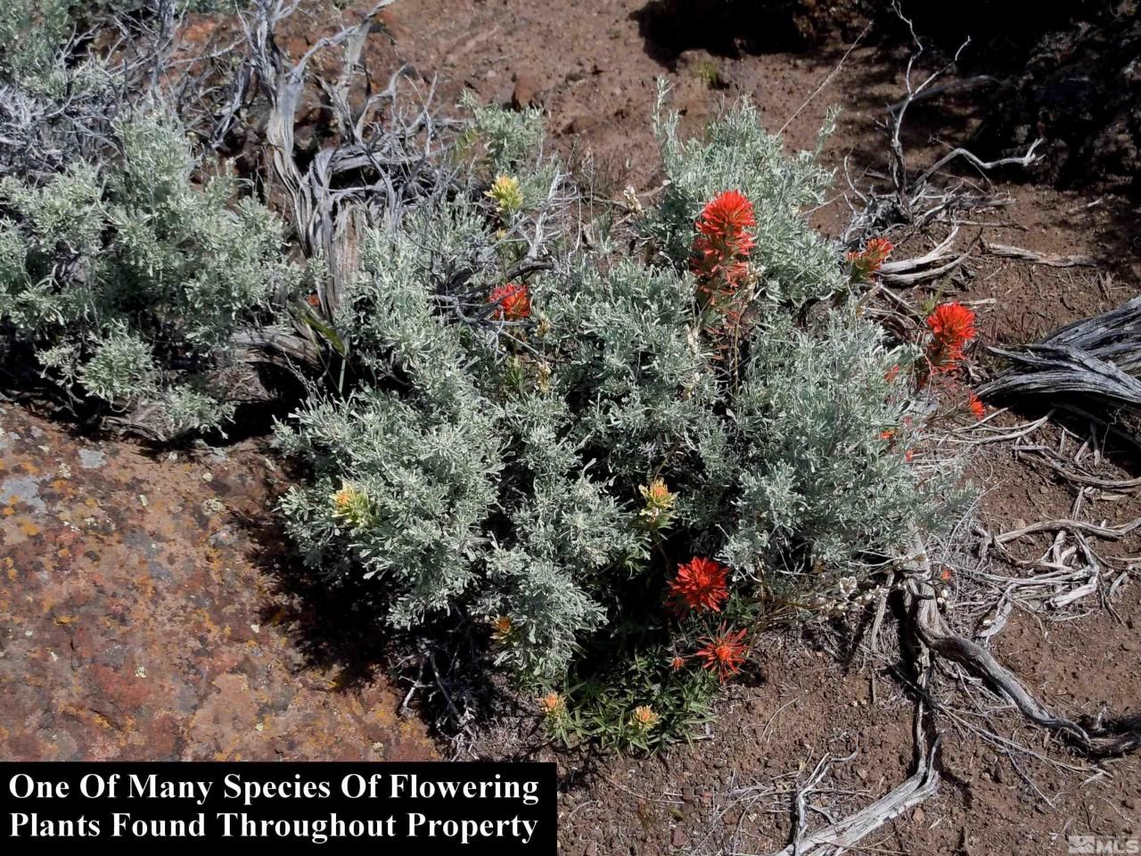 0 Unspecified, Gerlach, NV 89412 Photo