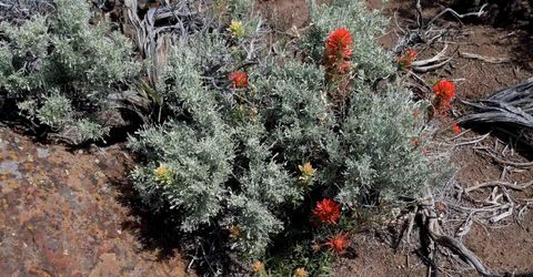 0 Unspecified, Gerlach, NV 89412 Photo