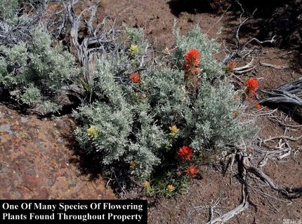 0 Unspecified, Gerlach, NV 89412 Photo