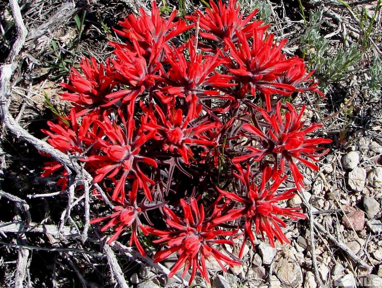 0 Unspecified, Gerlach, NV 89412 Photo