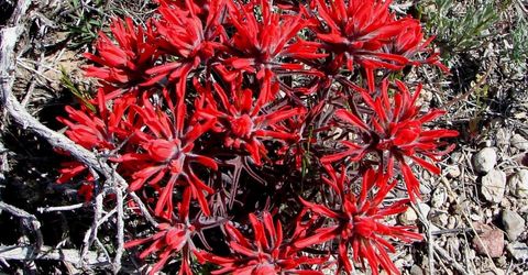 0 Unspecified, Gerlach, NV 89412 Photo