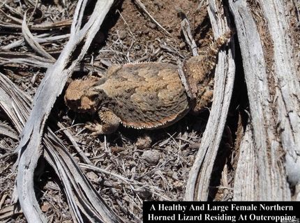 0 Unspecified, Gerlach, NV 89412 Photo