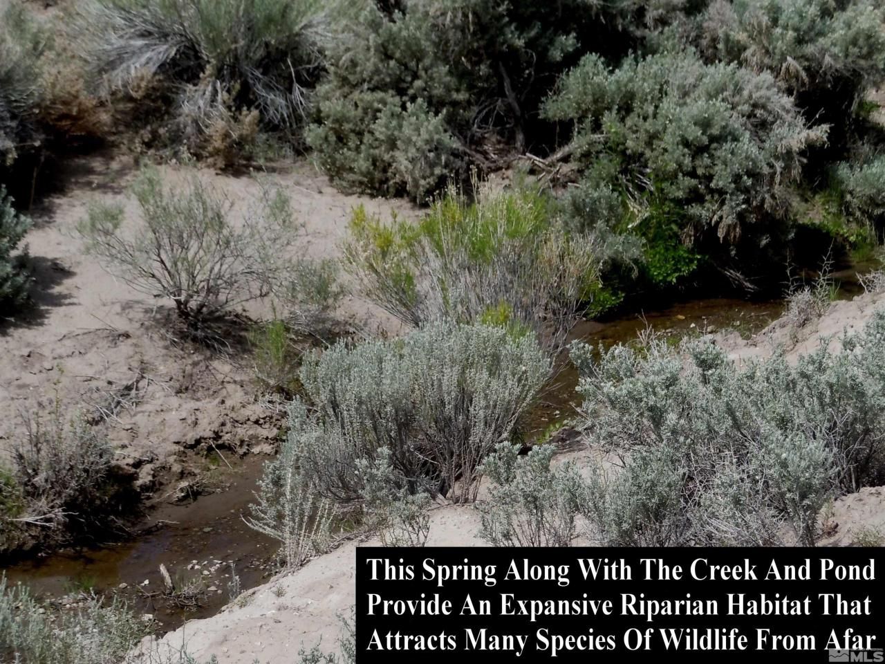 0 Unspecified, Gerlach, NV 89412 Photo