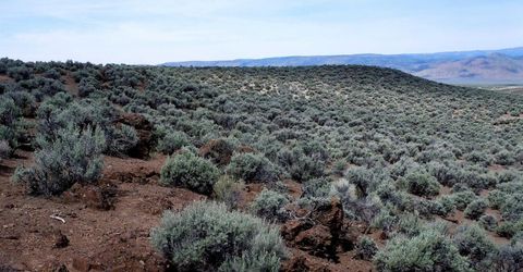 0 Unspecified, Gerlach, NV 89412 Photo