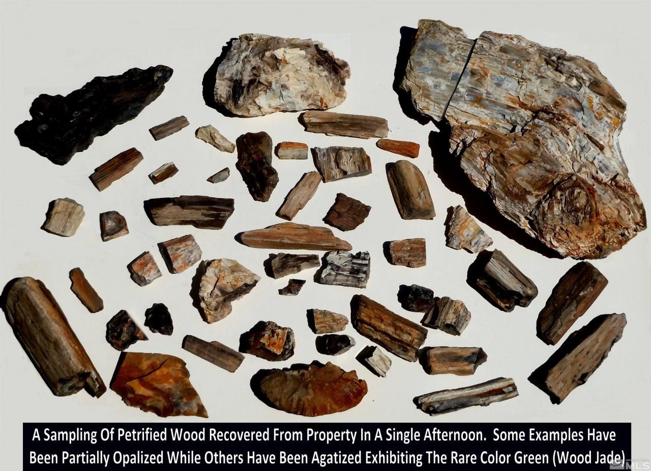 0 Unspecified, Gerlach, NV 89412 Photo