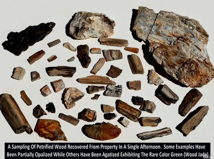 0 Unspecified, Gerlach, NV 89412 Photo