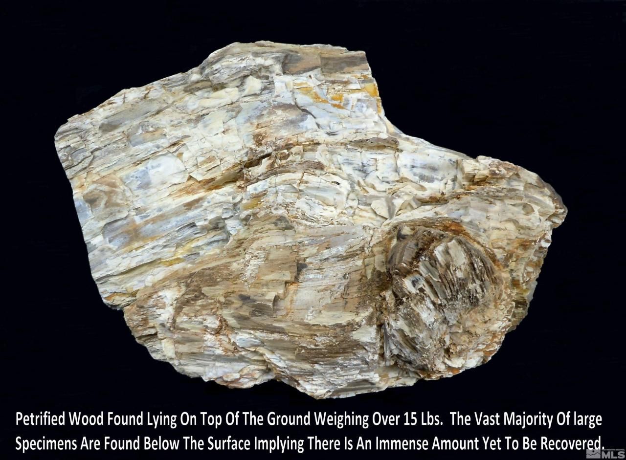 0 Unspecified, Gerlach, NV 89412 Photo