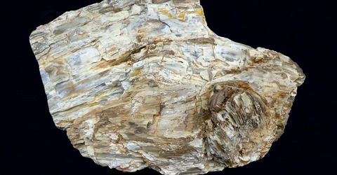 0 Unspecified, Gerlach, NV 89412 Photo