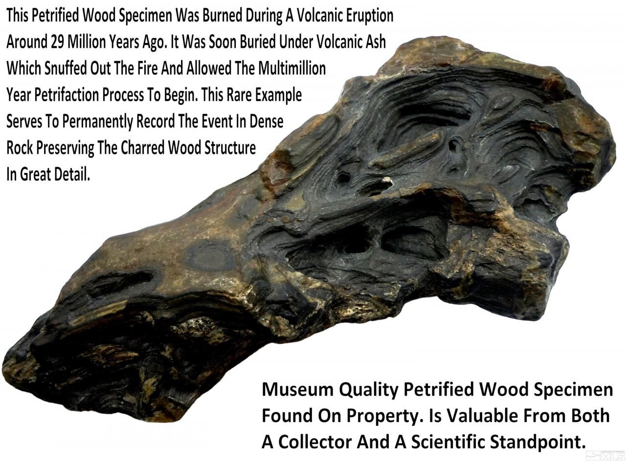 0 Unspecified, Gerlach, NV 89412 Photo