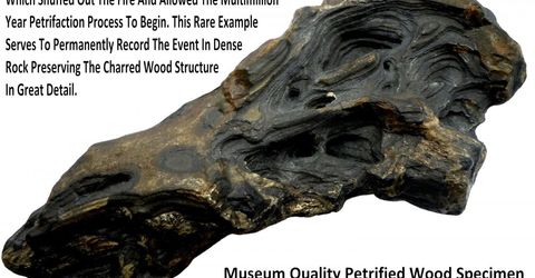 0 Unspecified, Gerlach, NV 89412 Photo