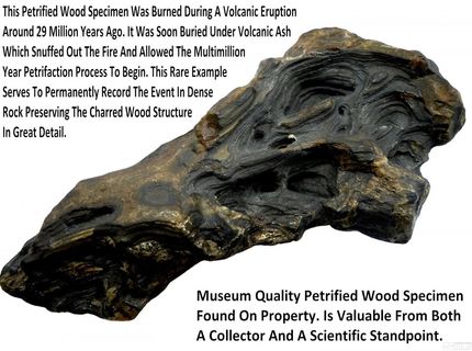 0 Unspecified, Gerlach, NV 89412 Photo