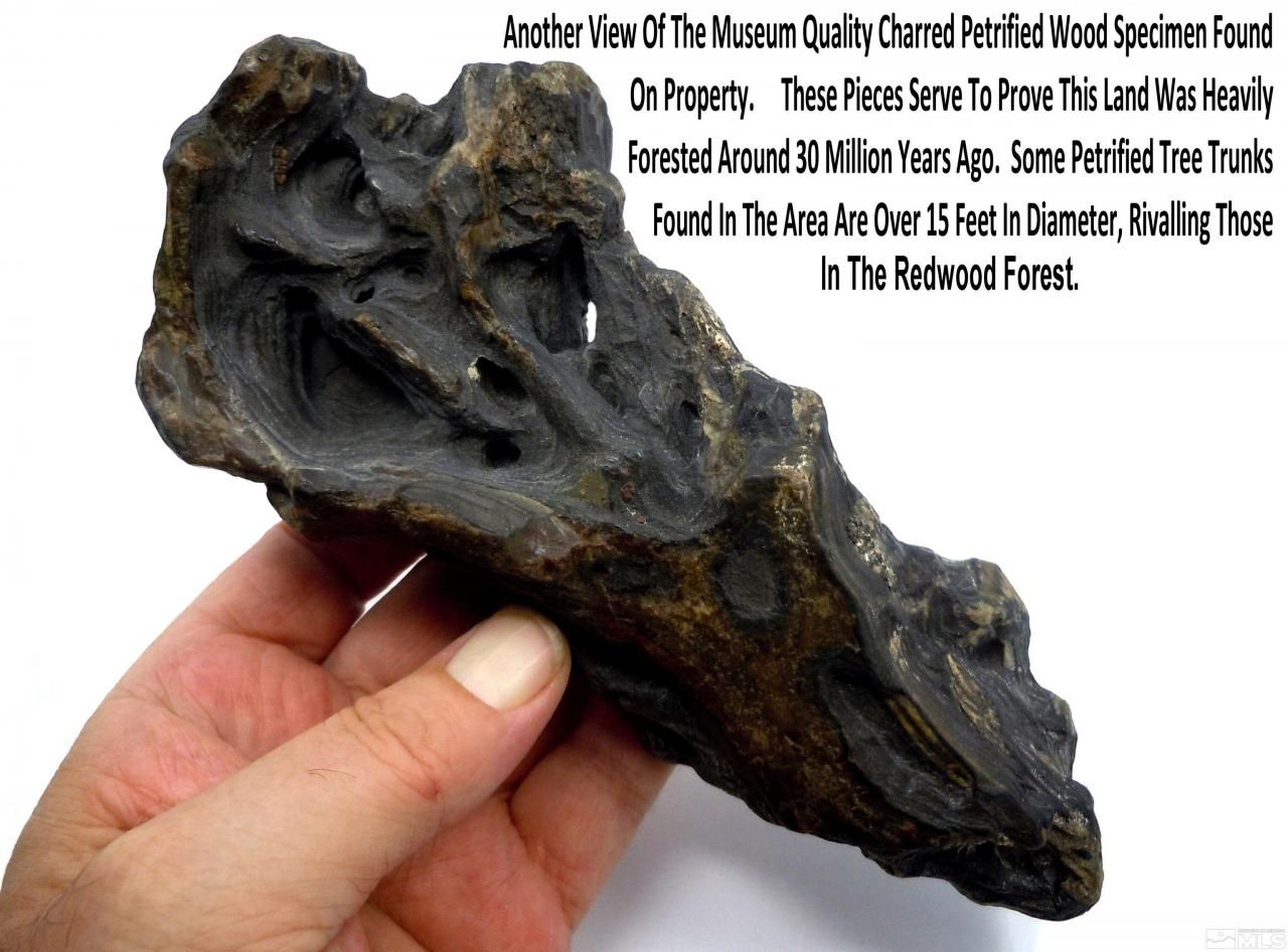 0 Unspecified, Gerlach, NV 89412 Photo