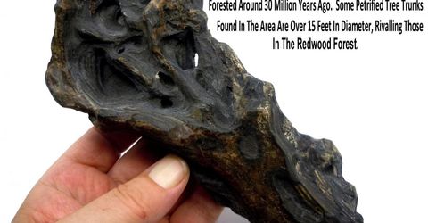 0 Unspecified, Gerlach, NV 89412 Photo