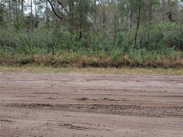 5009 JONATHAN STREET, HASTINGS, FL 32145