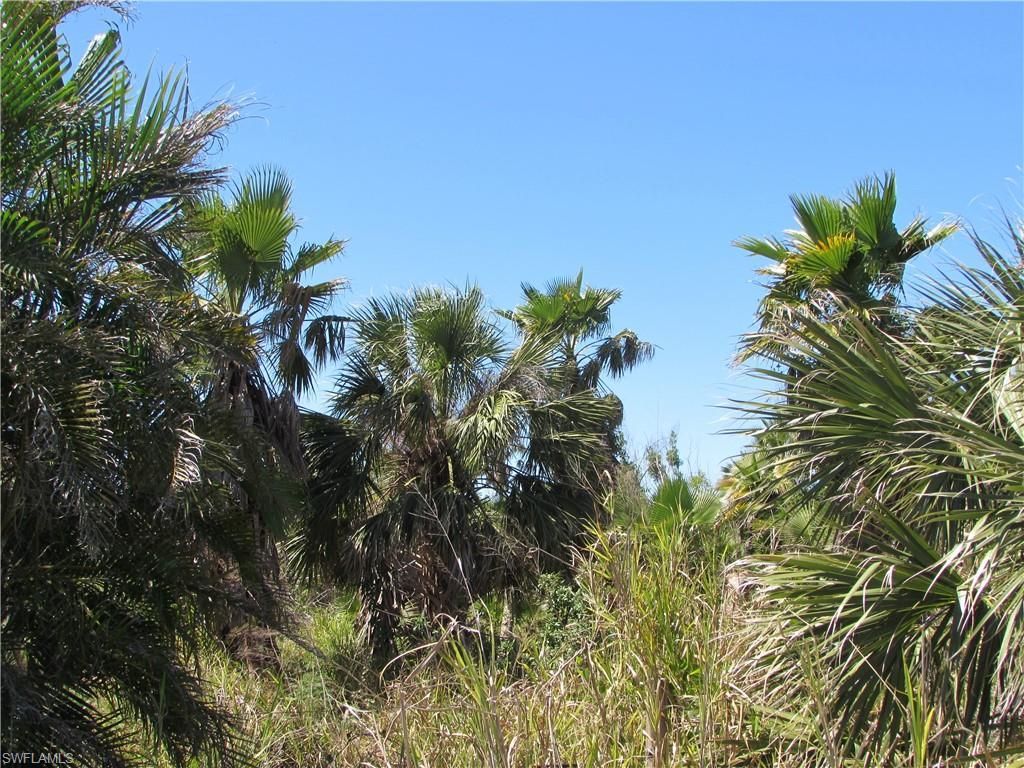 Samadani Ln, Bokeelia, FL 33922 Photo