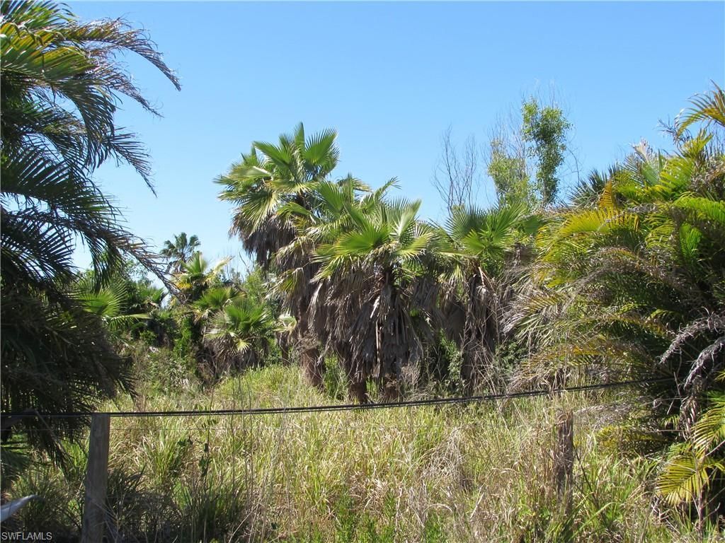 Samadani Ln, Bokeelia, FL 33922 Photo