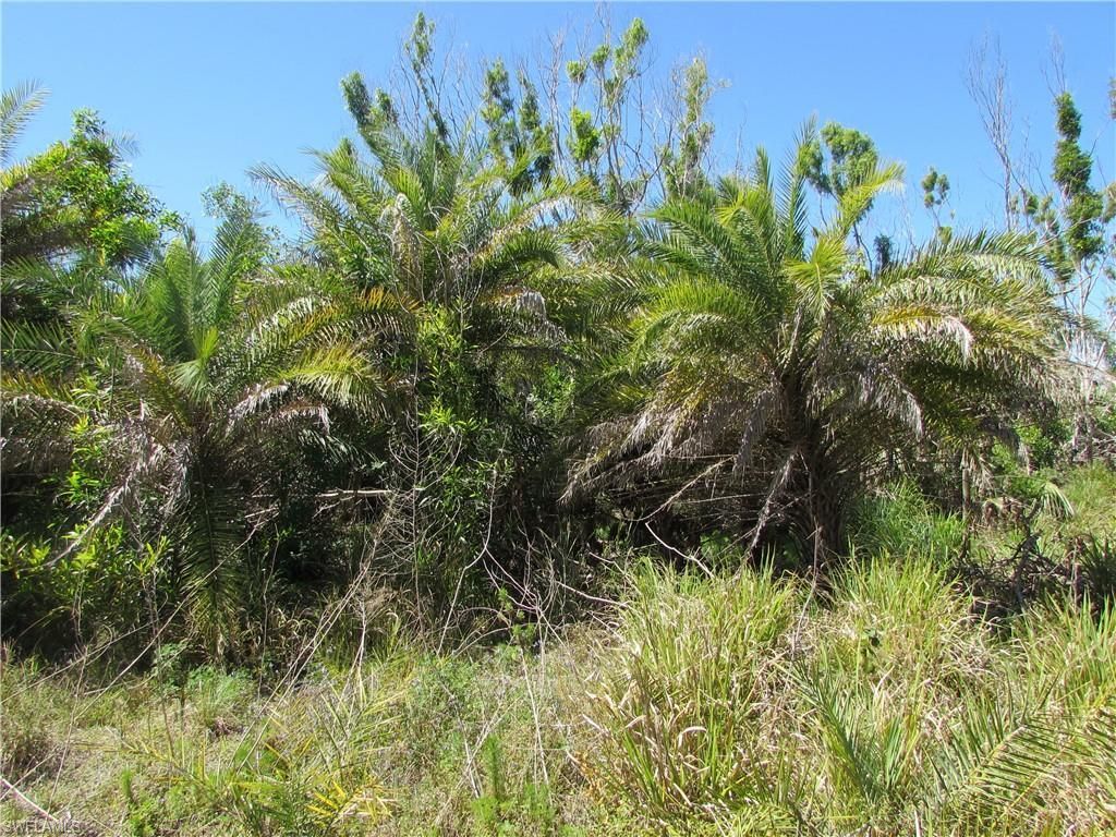 Samadani Ln, Bokeelia, FL 33922 Photo