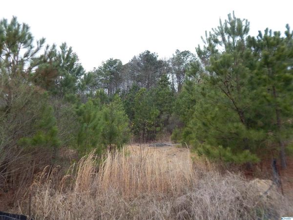 59.61 Acres Faith School Road, Mccalla, AL 35111