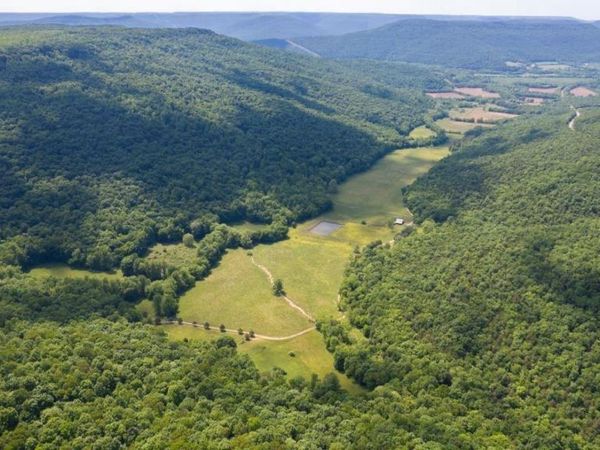 178 County Road 142, Princeton, AL 35766