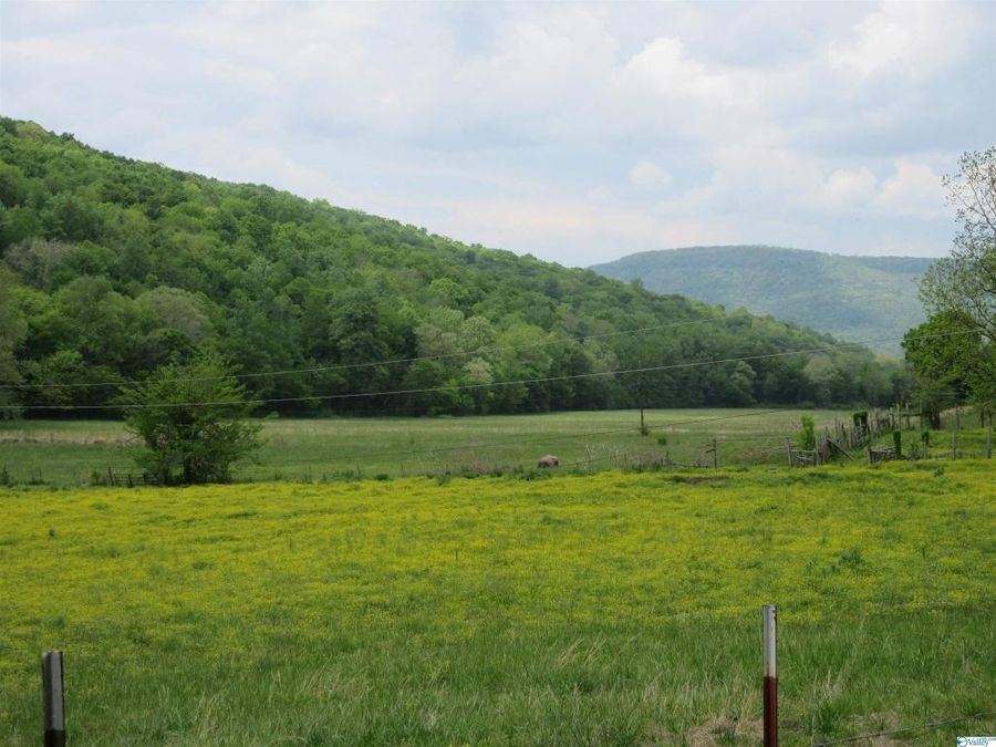 Property Image 23